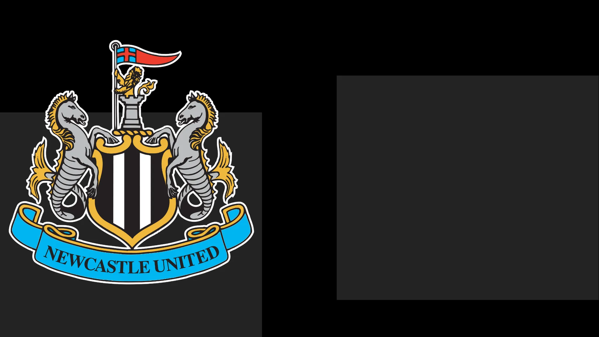 The Magpies Issue Formal Apology to Followers Amid Matchday Controversy