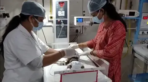 Baby Interred Living in the Country Battles for Survival