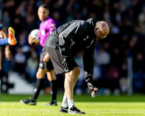 I have Observed Terrible Things at Soccer Matches – Yet The Thing That Dropped on the Field Recently Was Truly Appalling