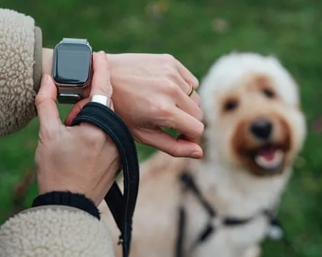 The Honest Scoop Concerning Wearable Tech? Life Improves Without a Nagging Zealot on Your Wrist
